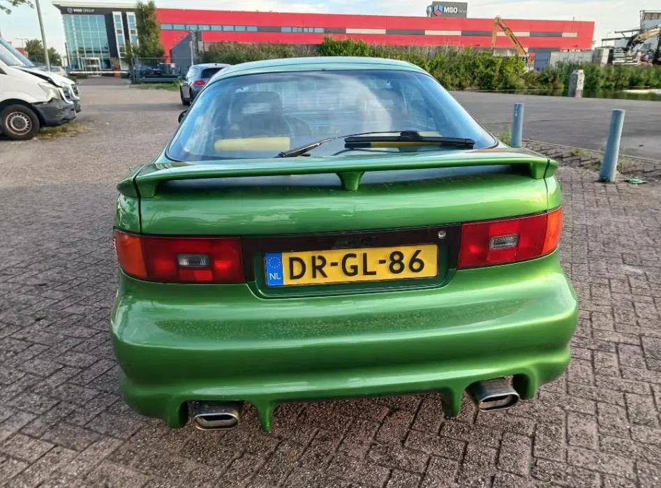 Dikke celica jonguh